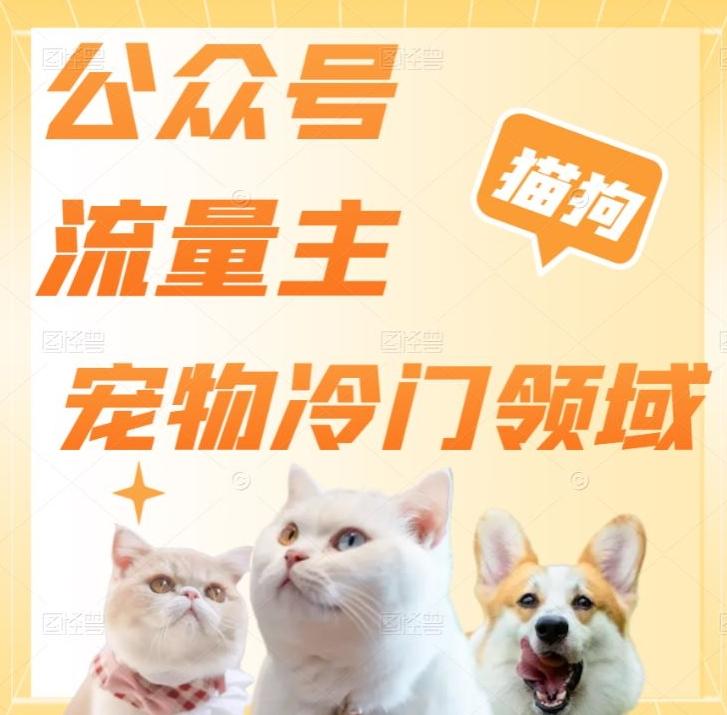 公众号流量主，萌宠冷门领域，单日收益2000+，简单暴力掘金，矩阵操作，无限放大收益！-禾谷轻创网