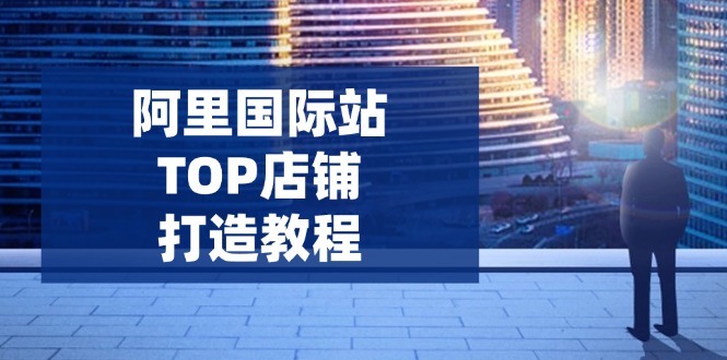 阿里国际站TOP店铺打造教程：涵盖平台到高阶，解决运营难题，提升询盘-禾谷轻创网