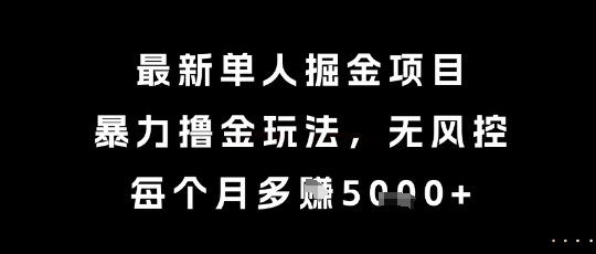 最新单人掘金项目，暴力撸金玩法，无风控，每个月多挣5k+【揭秘】-禾谷轻创网