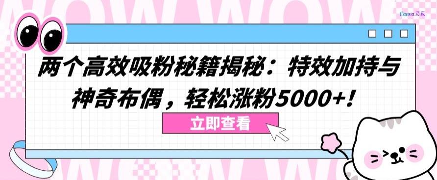 两个高效吸粉秘籍揭秘：特效加持与神奇布偶，轻松涨粉5000+【揭秘】-禾谷轻创网