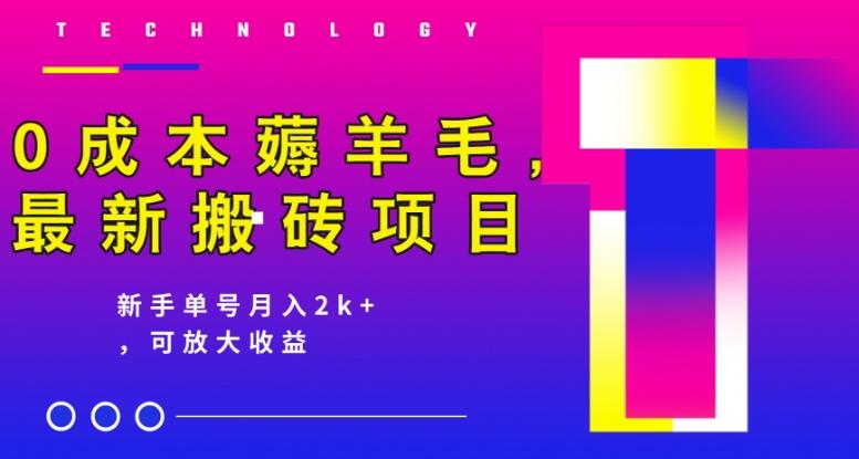 0成本薅羊毛，最新搬砖项目，新手单号月入2k+，可放大操作-禾谷轻创网