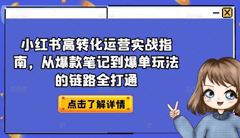 小红书高转化运营实战指南，从爆款笔记到爆单玩法的链路全打通-禾谷轻创网