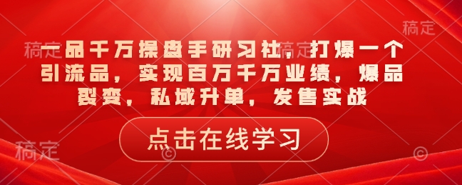 一品千万操盘手研习社，打爆一个引流品，实现百万千万业绩，爆品裂变，私域升单，发售实战-禾谷轻创网