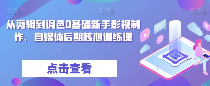从剪辑到调色0基础新手影视制作，自媒体后期核心训练课-禾谷轻创网