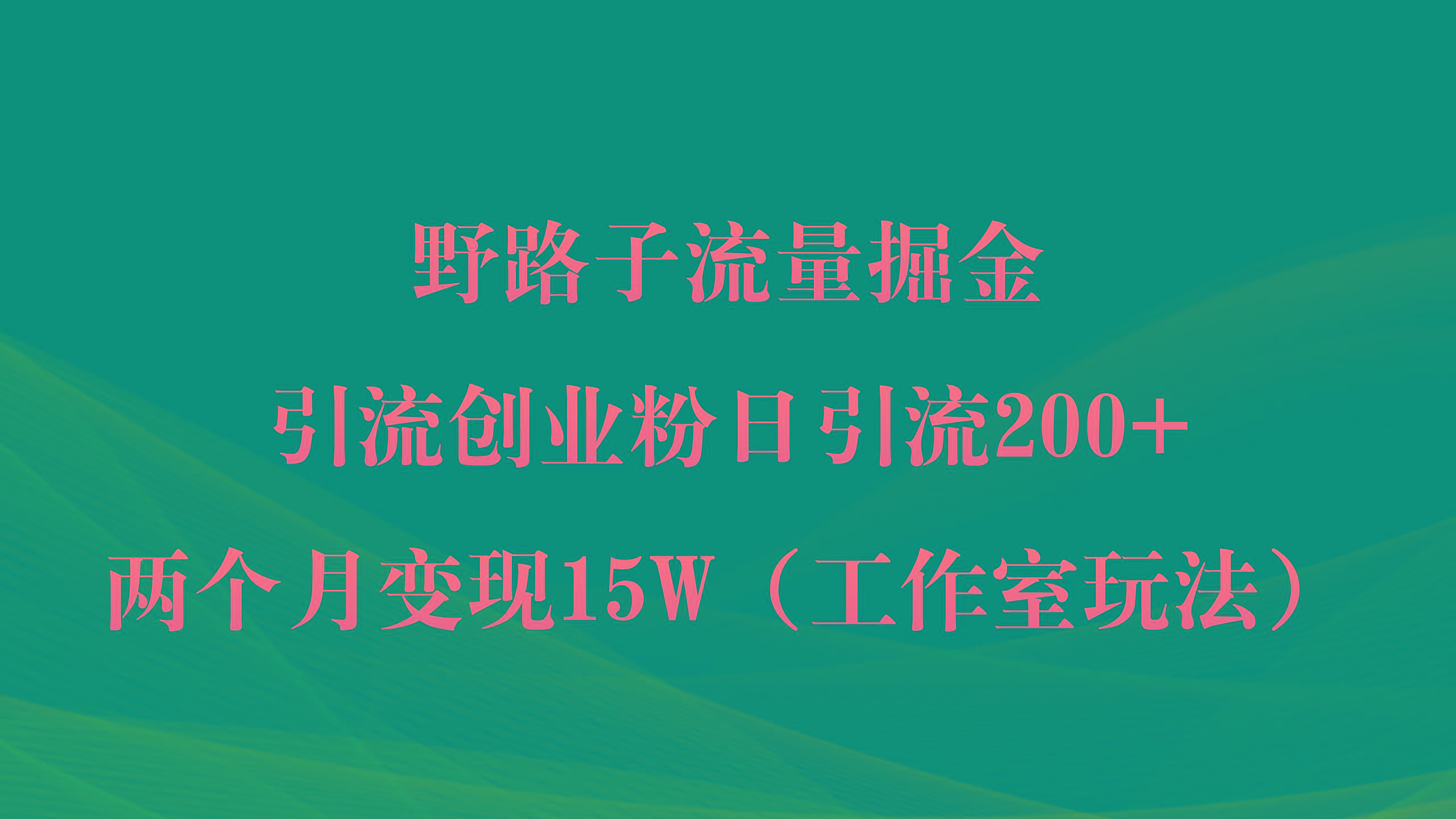 (9513期)野路子流量掘金，引流创业粉日引流200+，两个月变现15W(工作室玩法))-禾谷轻创网