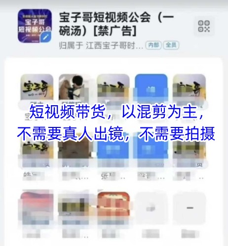 宝子哥头部团队短视频带货，以混剪为主，不需要真人出镜，不需要拍摄-禾谷轻创网
