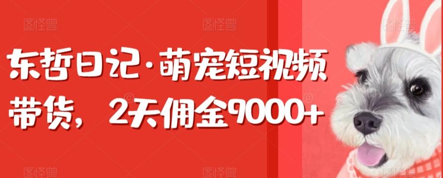 东哲日记·萌宠短视频带货，2天佣金9000+-禾谷轻创网