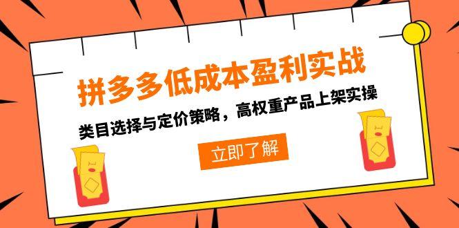 拼多多低成本盈利实战，类目选择与定价策略，高权重产品上架实操-禾谷轻创网