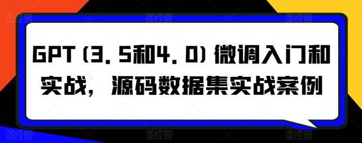 GPT(3.5和4.0)微调入门和实战，源码数据集实战案例-禾谷轻创网