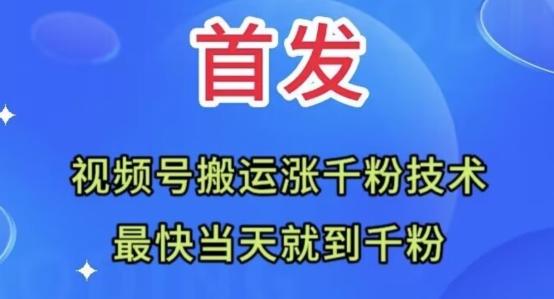 全网首发：视频号无脑搬运涨千粉技术，最快当天到千粉【揭秘】-禾谷轻创网
