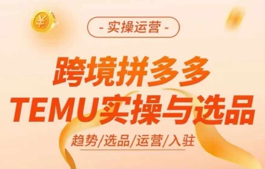 跨境拼多多TEMU实操与选品，多多temu跨境选品运营实操-禾谷轻创网