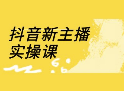 抖音新主播实操课，直播间流量运营线上实操课(18节)-禾谷轻创网