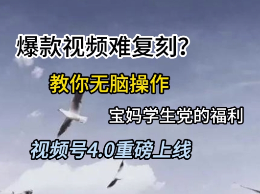 视频号4.0重磅上线，爆款视频难复刻？教你无脑操作宝妈学生党的福利【揭秘】-禾谷轻创网