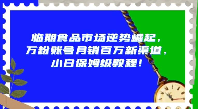 临期食品市场逆势崛起，万粉账号月销百万新渠道，小白保姆级教程【揭秘】-禾谷轻创网