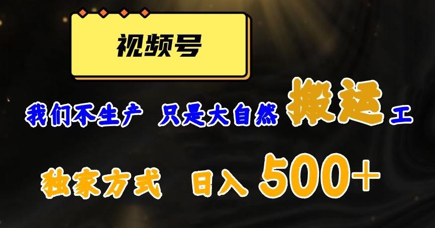 视频号轻松搬运日赚500+，一个1分钟1条原创视频【揭秘】-禾谷轻创网