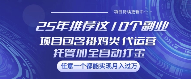 25年推荐这10个副业项目包含褂鸡类、代运营托管类、全自动打金类【揭秘】-禾谷轻创网