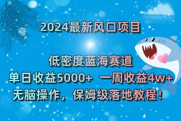 (8545期)2024最新风口项目 低密度蓝海赛道，日收益5000+周收益4w+ 无脑操作，保...-禾谷轻创网