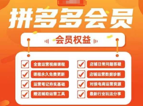 2025拼多多运营实战课，40节全流程教学，覆盖拼多多运营全链路-禾谷轻创网