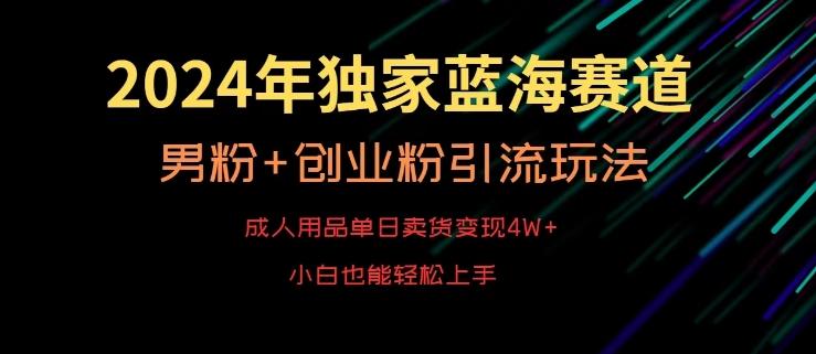 2024年独家蓝海赛道，成人用品单日卖货变现4W+，男粉+创业粉引流玩法，不愁搞不到流量【揭秘】-禾谷轻创网