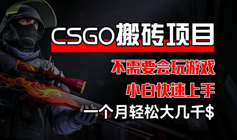 CSGO 装备搬砖项目，操作简单，不需要会玩游戏，小白也能快速上手，一个月轻松大几千【揭秘】-禾谷轻创网