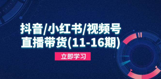 抖音/小红书/视频号/直播带货(11-16期-禾谷轻创网