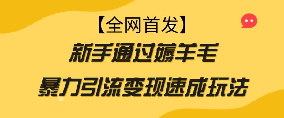 【全网首发】新手通过薅羊毛暴力引流变现速成玩法-禾谷轻创网