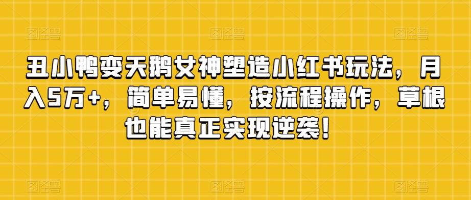 丑小鸭变天鹅女神塑造小红书玩法，月入5万+，简单易懂，按流程操作，草根也能真正实现逆袭！-禾谷轻创网