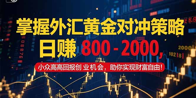 掌握外汇黄金对冲策略，日赚 800 – 2000，小众高回报创业机会，助你实…-禾谷轻创网