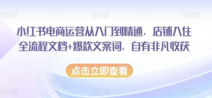 小红书电商运营从入门到精通，店铺入住全流程文档+爆款文案词，自有非凡收获-禾谷轻创网