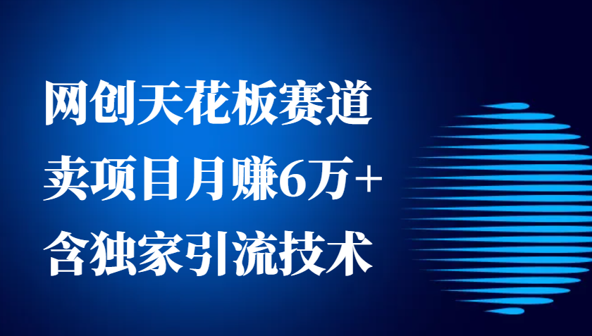 网创天花板赛道，卖项目月赚6万+，含独家引流技术(共26节课)-禾谷轻创网