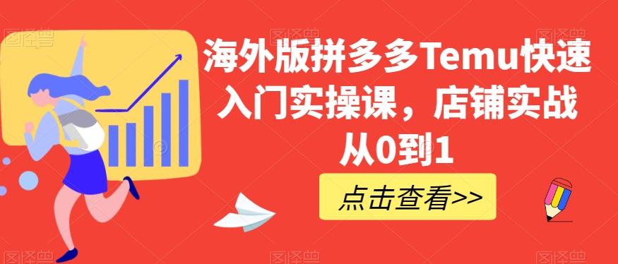 海外版拼多多Temu快速入门实操课，店铺实战从0到1-禾谷轻创网