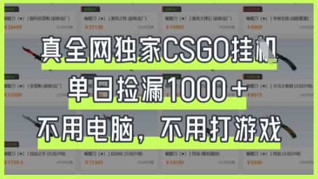 真全网独家CSGO挂G，单日捡漏1k+【揭秘】-禾谷轻创网