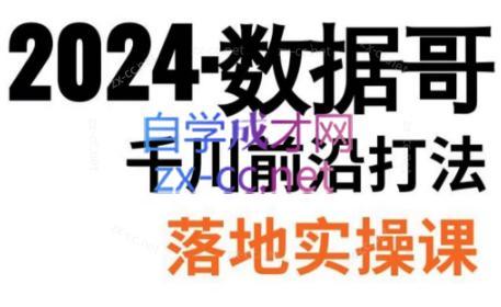 数据哥·2024年千川前沿打法落地实操课-禾谷轻创网