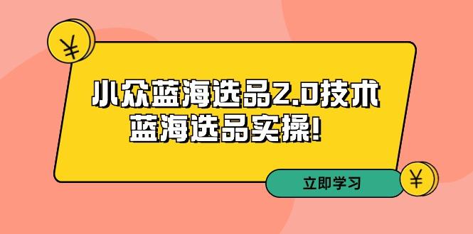 拼多多培训第33期：小众蓝海选品2.0技术-蓝海选品实操！-禾谷轻创网