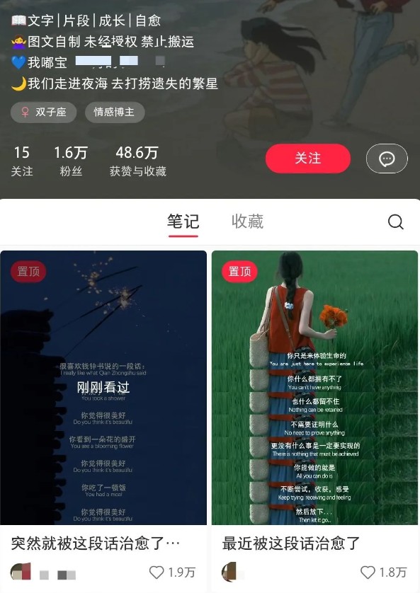 小红书治愈文案图文笔记,零门槛,一分钟制作轻松制作爆款作品月入万元-禾谷轻创网