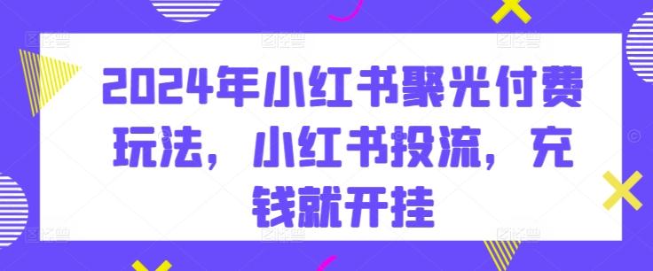 2024年小红书聚光付费玩法，小红书投流，充钱就开挂-禾谷轻创网