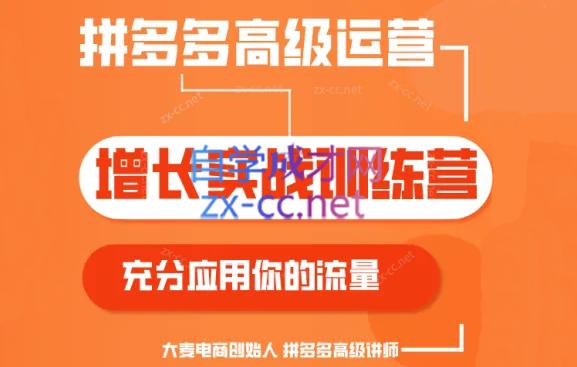 大麦老师·拼多多单品爆款打造课程(更新6月)-禾谷轻创网