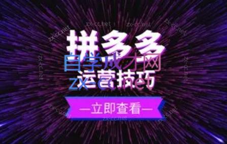 力辛电商·拼多多强付费店群玩法-禾谷轻创网