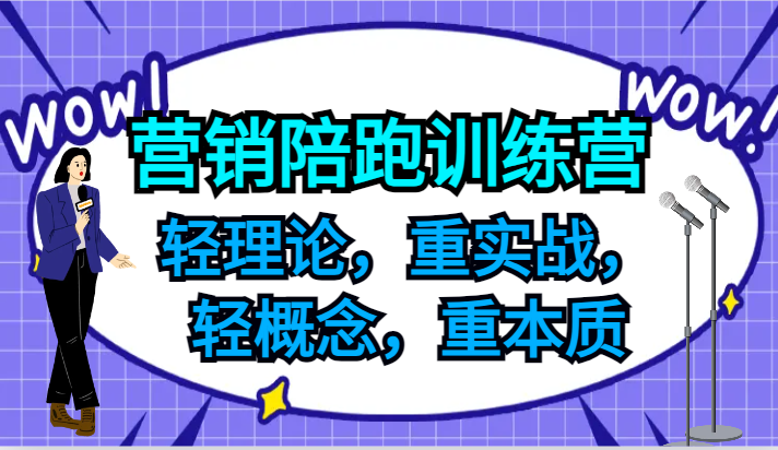 营销陪跑训练营，轻理论，重实战，轻概念，重本质，适合中小企业和初创企业的老板-禾谷轻创网