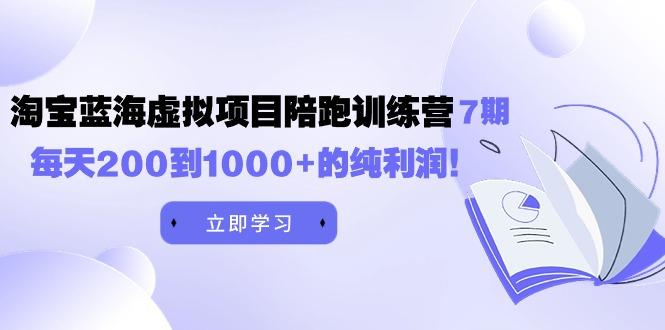 (9541期)黄岛主《淘宝蓝海虚拟项目陪跑训练营7期》每天200到1000+的纯利润-禾谷轻创网