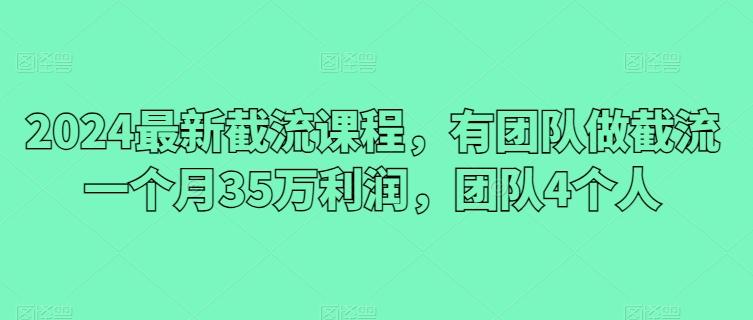 2024最新截流课程，有团队做截流一个月35万利润，团队4个人-禾谷轻创网