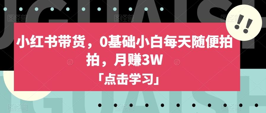 小红书带货，0基础小白每天随便拍拍，月赚3W【揭秘】-禾谷轻创网