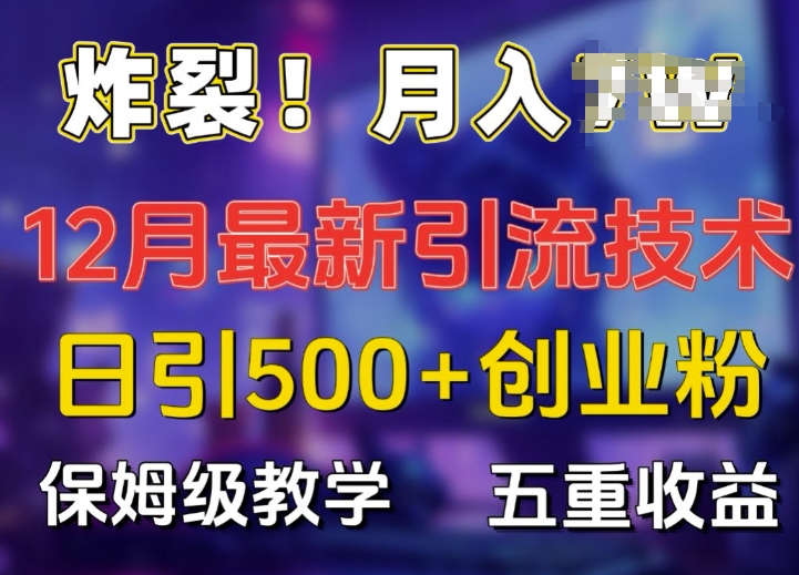 炸裂!揭秘12月最新日引流500+精准创业粉，多重收益保姆级教学-禾谷轻创网