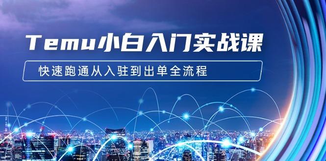 (9295期)Temu小白入门实战课：跨境拼多多电商培训 快速跑通从入驻到出单全流程-12节-禾谷轻创网