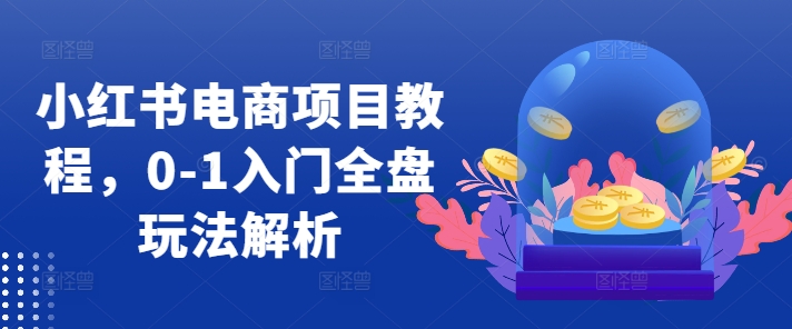 小红书电商项目教程，0-1入门全盘玩法解析-禾谷轻创网