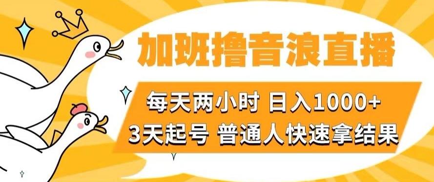 加班撸音浪直播，每天两小时，日入1000+，直播话术才3句，3天起号，普通人快速拿结果【揭秘】-禾谷轻创网