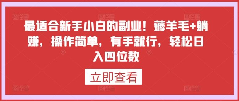 最适合新手小白的副业！薅羊毛+躺赚，操作简单，有手就行，轻松日入四位数【揭秘】-禾谷轻创网