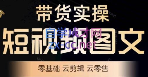 鑫哥·2024零基础短视频带货实操营-禾谷轻创网