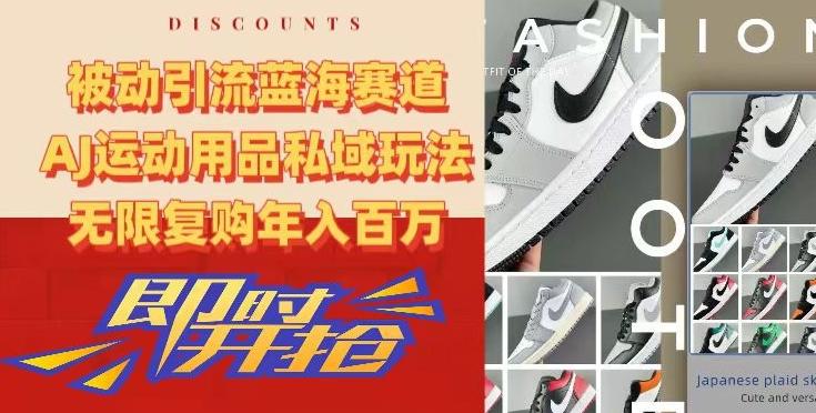 被动引流蓝海赛道，AJ运动用品私域玩法，无限复购年入百万【揭秘】-禾谷轻创网