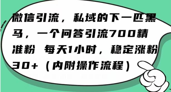 怎么搞精准创业粉？微信新赛道，每天一小时，利用Ai一个问答日引100精准粉-禾谷轻创网